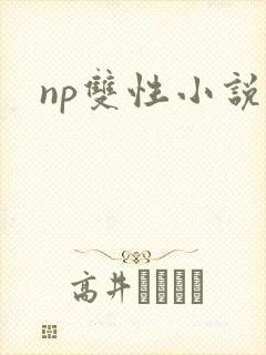 np双性小说h封面