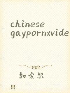chinesegaypornxvideos