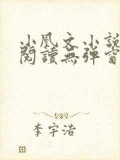 小凰文小说在线阅读无弹窗