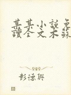 某某小说免费阅读全文木苏里