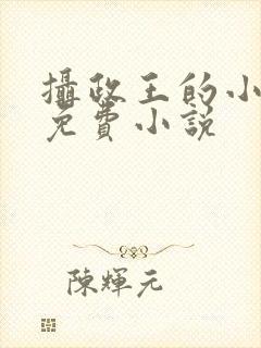 摄政王的小闲妻免费小说