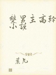 双男主高干短篇小说封面