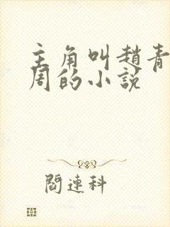 主角叫赵青和老周的小说
