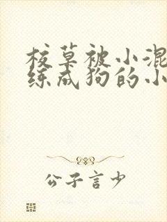 校草被小混混训练成狗的小说