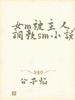 女m被主人虐玩调教sm小说封面