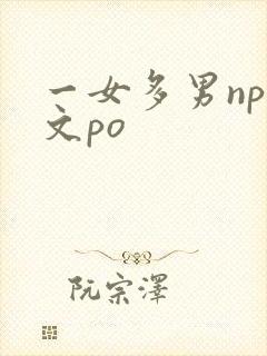 一女多男np爽文po