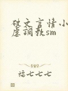 破文言情小说性虐调教sm封面