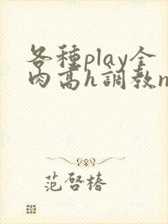 各种play全肉高h调教np