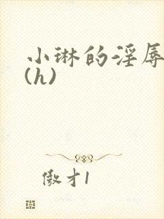 小琳的淫辱日记(h)