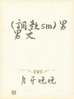 (调教sm)男男文