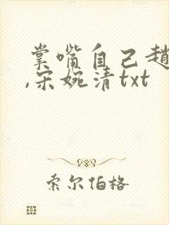 掌嘴自己赵振国,宋婉清txt