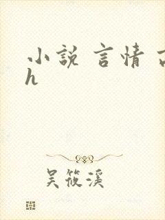 小说 言情 高h