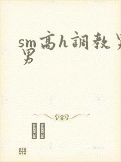 sm高h调教男男