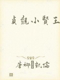 贞观小贤王李慎