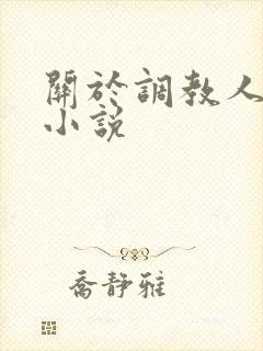 关于调教人妻的小说封面