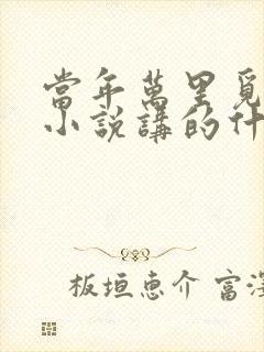 当年万里觅封侯小说讲的什么