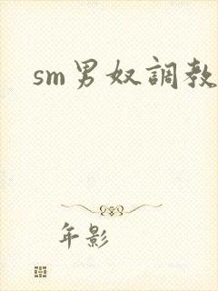 sm男奴调教文