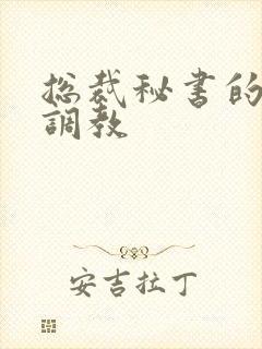 总裁秘书的淫辱调教