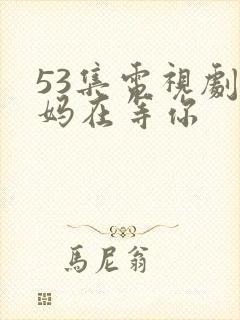 53集电视剧妈妈在等你封面