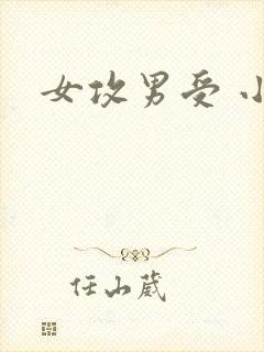 女攻男受 小说