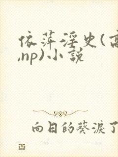 依萍淫史(高h,np)小说封面