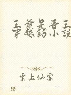 王爷是晋王女主穿越的小说