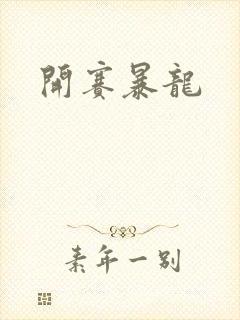 开赛暴龙