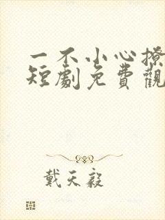 一不小心撩错人短剧免费观看全集