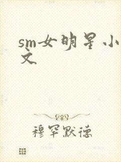 sm女明星小h文封面