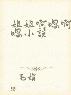 姐姐啊嗯啊嗯啊嗯小说