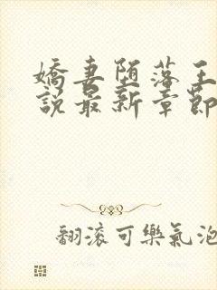 娇妻堕落王兵小说最新章节更新内容