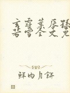 玄霆叶辰孙怡夏若雪全文免费阅读最新章节封面