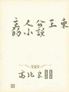 主人公王东唐潇的小说封面