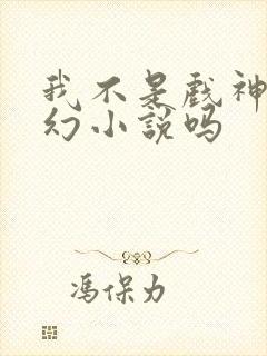 我不是戏神是玄幻小说吗封面