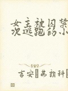 女主被囚禁并多次逃跑的小说