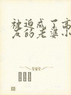 被迫成了高冷室友的老婆小说阅读免费