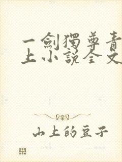 一剑独尊青鸾峰上小说全文免费阅读