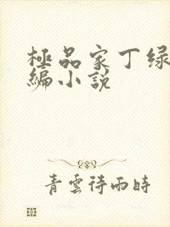 极品家丁绿帽改编小说