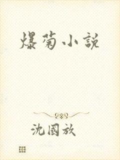 爆菊小说