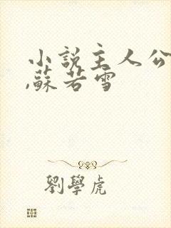 小说主人公沈浪,苏若雪