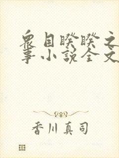 众目睽睽之下的事小说全文免费阅读