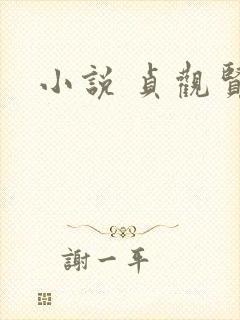 小说 贞观贤王