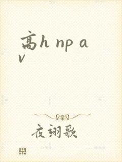 高h np av封面