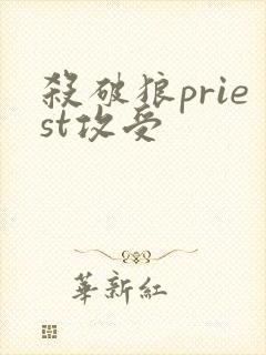杀破狼priest攻受