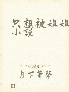 只想被姐姐欺负小说