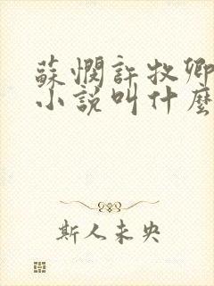 苏悯许牧卿原著小说叫什么