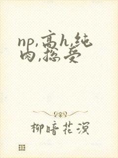 np,高h,纯肉,总受封面