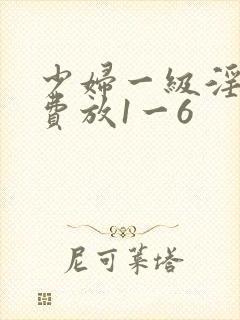 少妇一级淫片免费放1一6