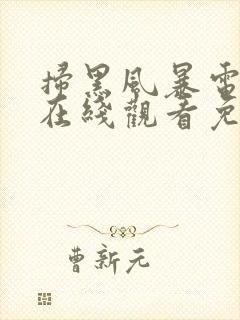 扫黑风暴电视剧在线观看免费全集