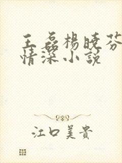 王磊杨晓芬后妈情深小说